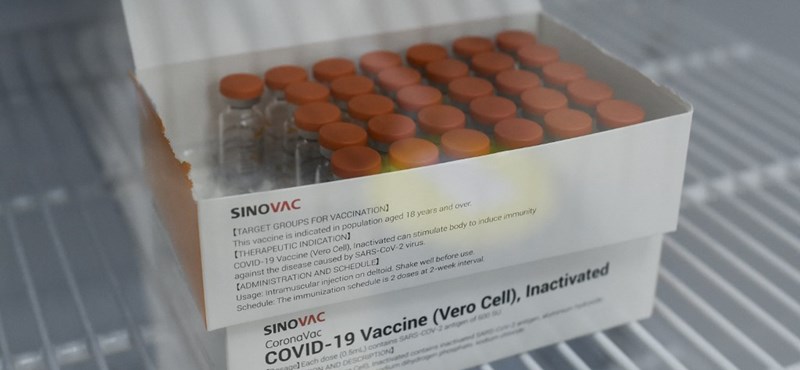 Chinese Sinovac Vaccine Does Not Appear To Protect Against Brazilian Mutation In Coronavirus