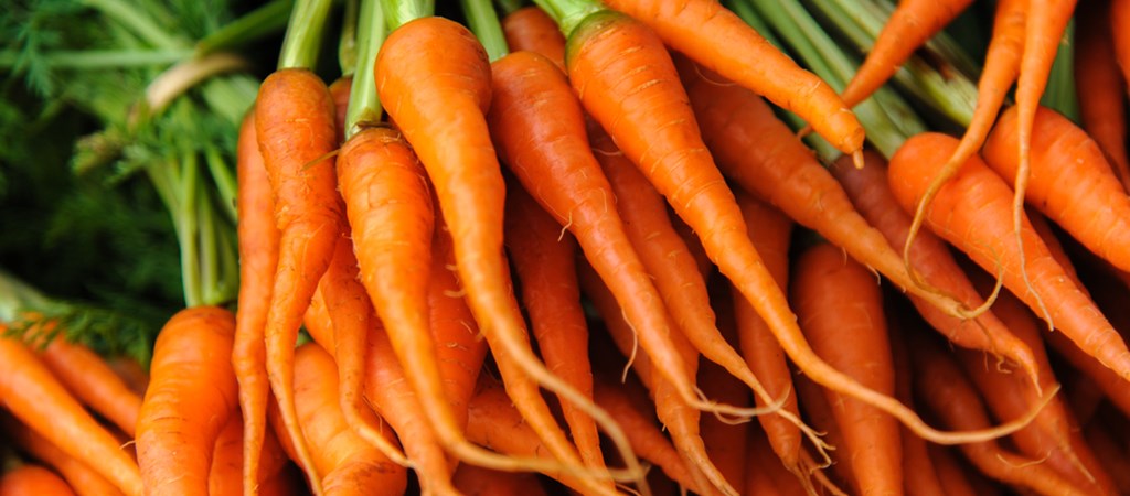 A sárgarépa égeti-e a hasi zsírt, A 10 legjobb zsírégető zöldség - Fogyókúra | Femina