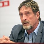 McAfee goes to court because he can't use his own name