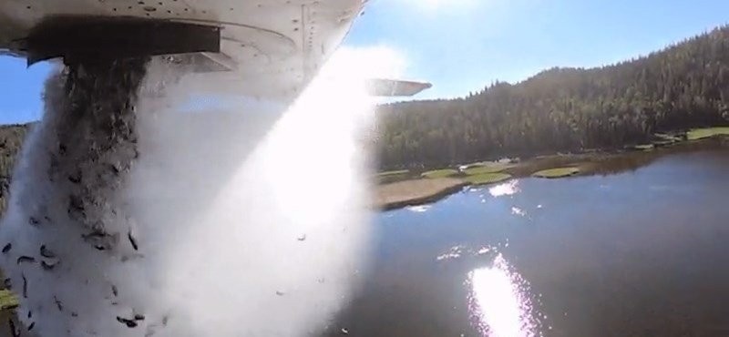 En Estados Unidos, los peces son arrojados al agua vacía desde un enorme avión - video