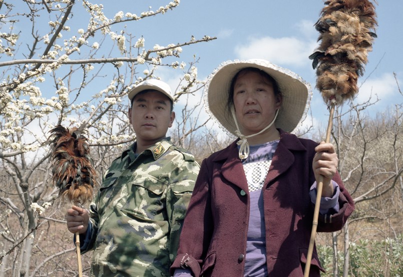 Where Bees Have Disappeared Forever: Hand Pollination in China